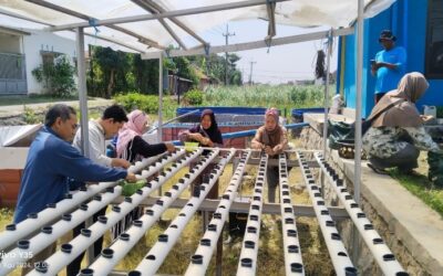 PELATIHAN HIDROPOK BAGI GENERASI MUDA DALAM CAPAIAN SDGs TIDAK ADA KELAPARAN