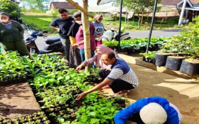 Menuju Keberlanjutan: Masyarakat Kec. Sukun Kota Malang Manfaatkan Lahan Kosong untuk Pertanian Berkelanjutan Menuju SDGs 11 dan 12